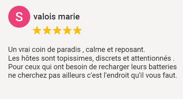 Avis Google