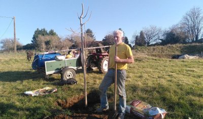 Plantation de grands arbres dans le Jardin de Lyno - Belvès