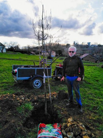 Plantations d'arbres 2026 - Le Jardin de Lyno, locations saisonnières à proximité de Sarlat 