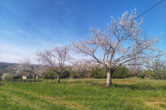 Jardin de Lyno, location de gîtes insolites à Belvès, en Dordogne, Périgord Noir