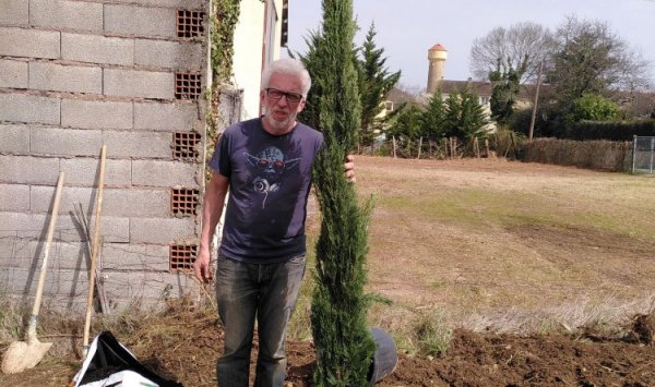 Plantation d'une haie de cyprès - Location de gîtes insolites et écologiques à Belvès en Dordogne