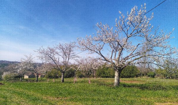 Jardin de Lyno, location de gîtes insolites à Belvès, en Dordogne, Périgord Noir