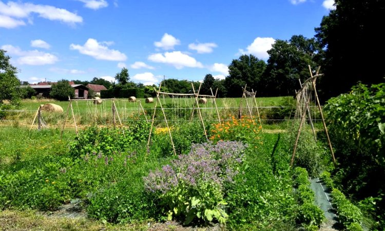 Le Jardin de Lyno à Belvès est solidaire avec l'association Happy Cultors