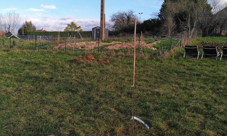 Plantations d'arbres 2026 près du potager - Le Jardin de Lyno, locations saisonnières à proximité de Sarlat 