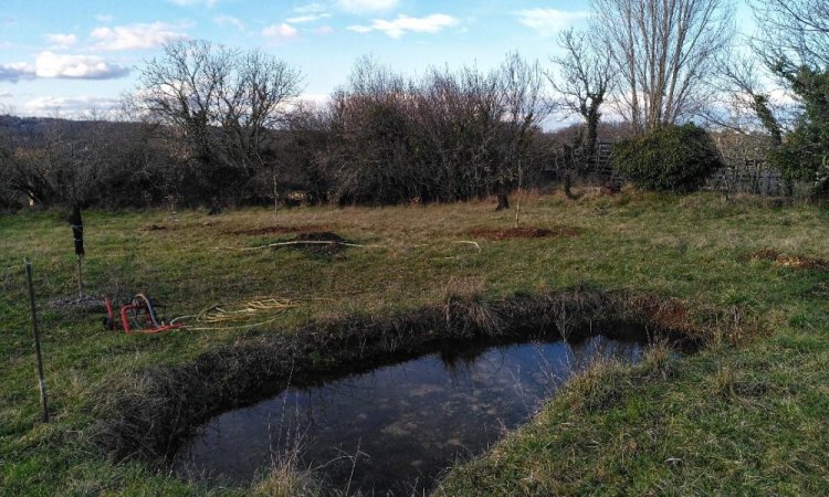 Plantations d'arbres 2026 près de la future mare - Le Jardin de Lyno, locations saisonnières à proximité de Sarlat 
