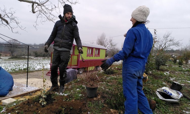 Aménagement des abords de la roulotte Bohème - Le Jardin de Lyno - Belvès