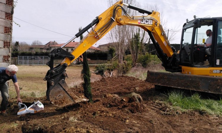 Plantation d'une haie de cyprès - Location de gîtes insolites et écologiques à Belvès en Dordogne