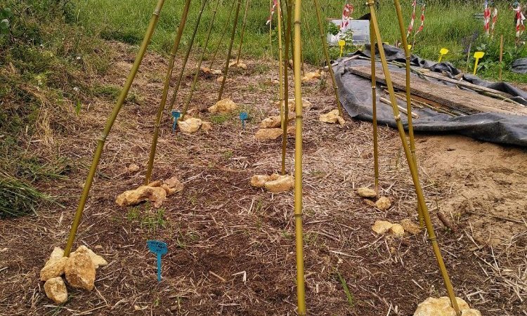 Tipis au potager du Jardin de Lyno - Location de gîtes insolites à Belvès en Dordogne - Périgord Noir