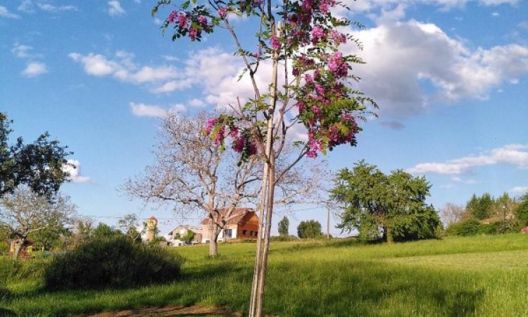 La faune et la flore du Jardin de Lyno à Belvès en Dordogne, Périgord Noir